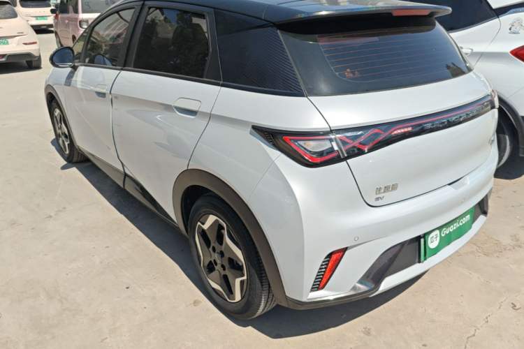Used BYD Dolphin 2021 405 km Fashion Edition Rear Left 45 Deg