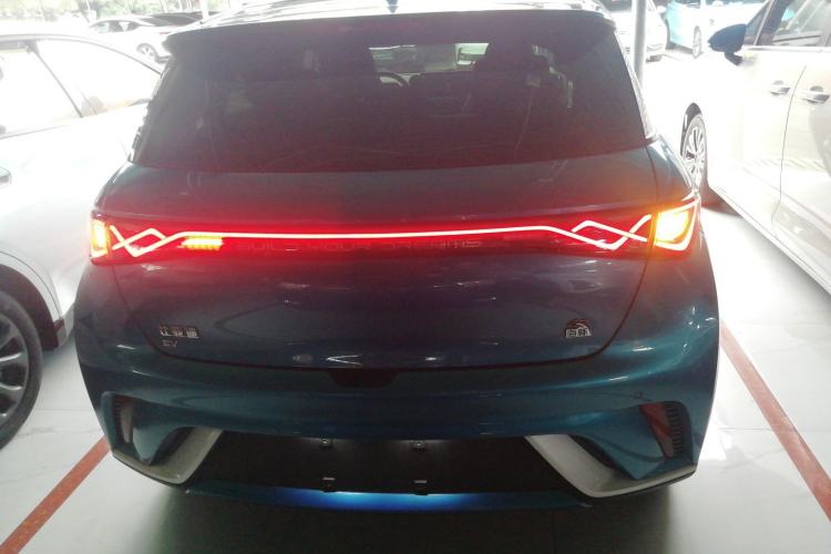 Used BYD Dolphin 2021 405 km Fashion Edition Rear
