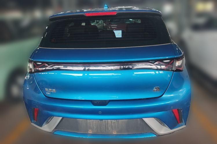 Used BYD Dolphin 2021 405 km Free Version Rear