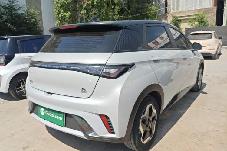 Used BYD Dolphin 2021 405 km Fashion Edition Rear Right 45 Deg