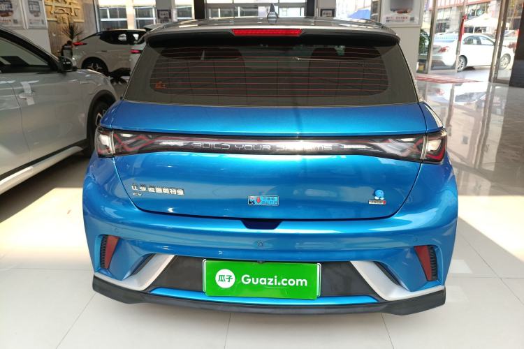 Used BYD Dolphin 2021 401km Knight Edition Rear