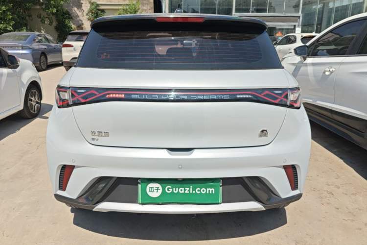 Used BYD Dolphin 2021 405 km Fashion Edition Rear