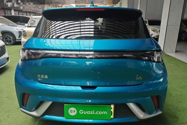 Used BYD Dolphin 2021 405 km Fashion Edition Rear