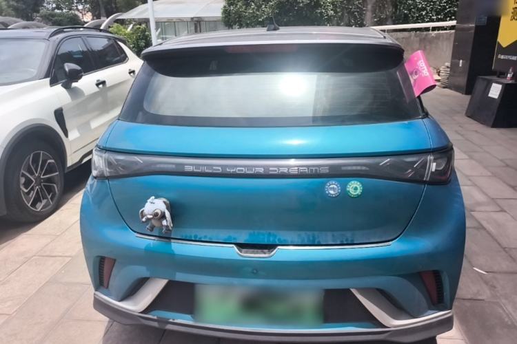 Used BYD Dolphin 2021 401km Knight Edition Rear