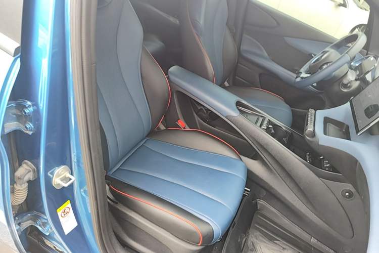 Used BYD Dolphin 2021 401km Knight Edition Right Front Seat
