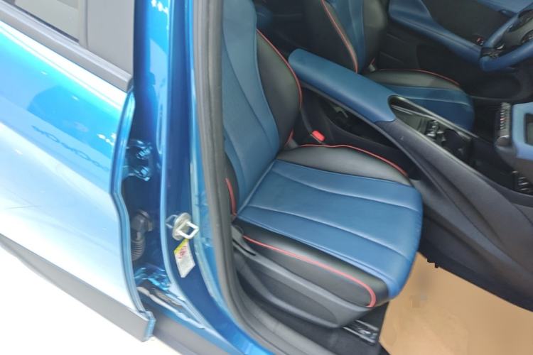 Used BYD Dolphin 2021 401km Knight Edition Right Front Seat