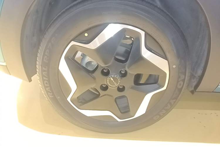 Used BYD Dolphin 2021 405 km Fashion Edition Right Rear Wheel Hub