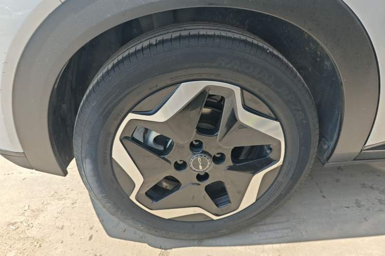 Used BYD Dolphin 2021 405 km Fashion Edition Right Rear Wheel Hub