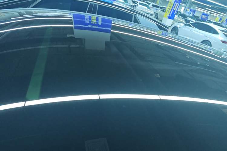 Used BYD Dolphin 2021 401km Knight Edition Roof
