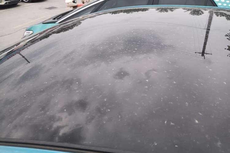 Used BYD Dolphin 2021 405 km Fashion Edition Roof