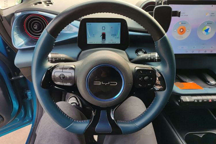 Used BYD Dolphin 2021 405 km Free Version Steering Wheel