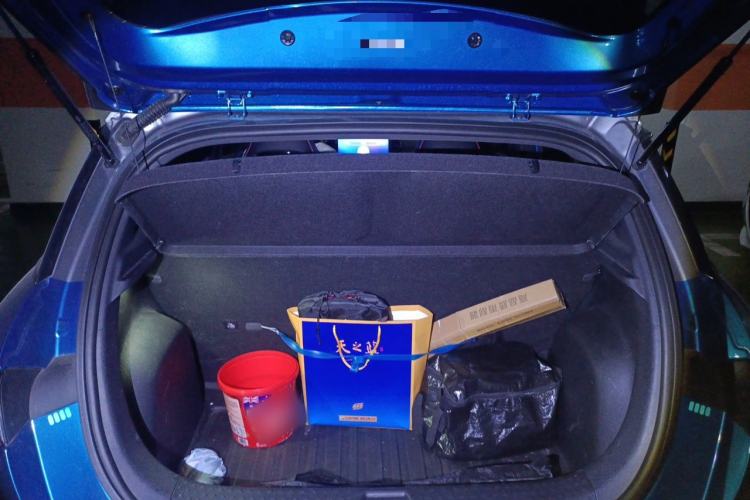Used BYD Dolphin 2021 401km Knight Edition Trunk