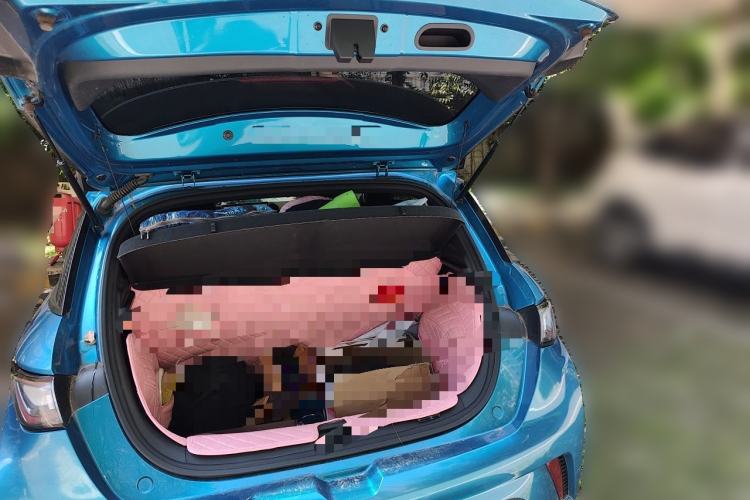 Used BYD Dolphin 2021 405 km Fashion Edition Trunk