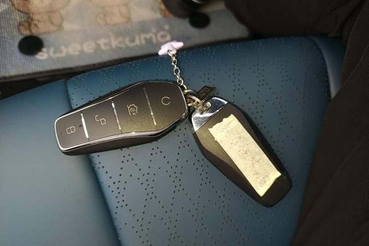 Used BYD Dolphin 2021 405 km Fashion Edition Vehicle Key