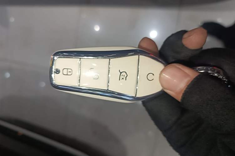 Used BYD Dolphin 2021 405 km Free Version Vehicle Key