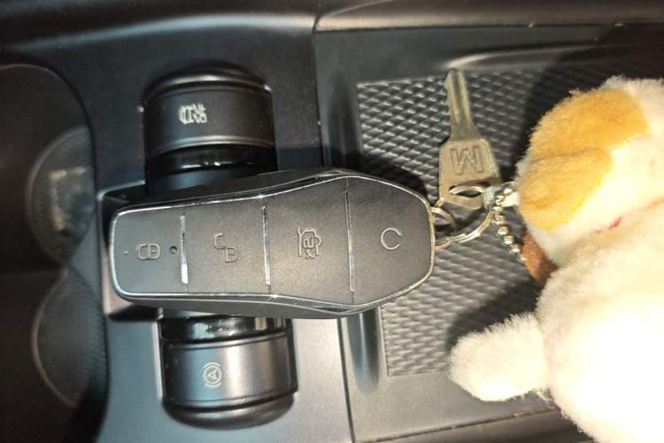 Used BYD Dolphin 2021 405 km Fashion Edition Vehicle Key