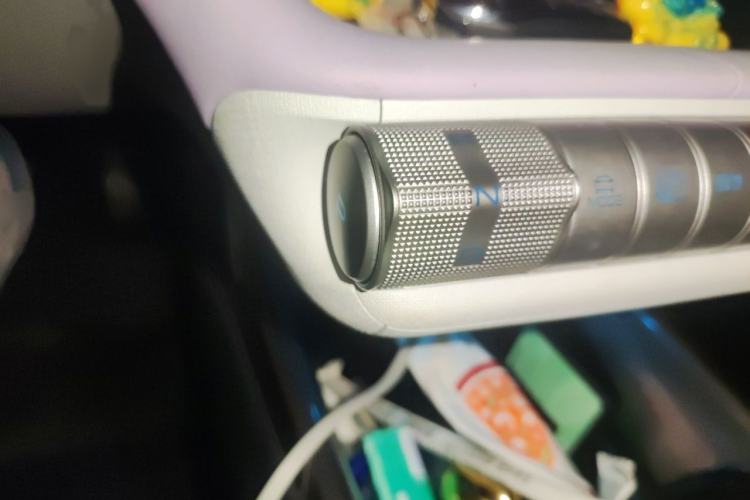 Used BYD Dolphin 2021 405 km Fashion Edition Gear Lever