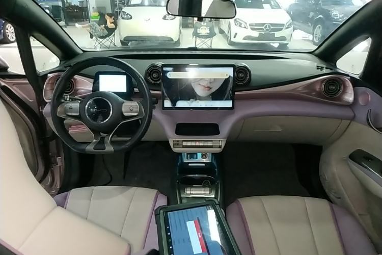 Used BYD Dolphin 2021 405 km Fashion Edition Center Console