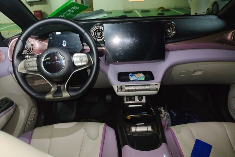 Used BYD Dolphin 2021 401km Knight Edition Center Console