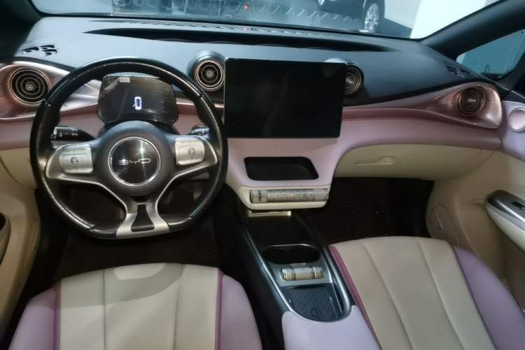 Used BYD Dolphin 2021 405 km Fashion Edition Center Console
