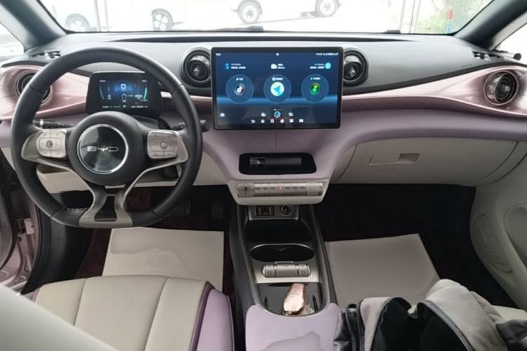 Used BYD Dolphin 2021 405 km Fashion Edition Center Console