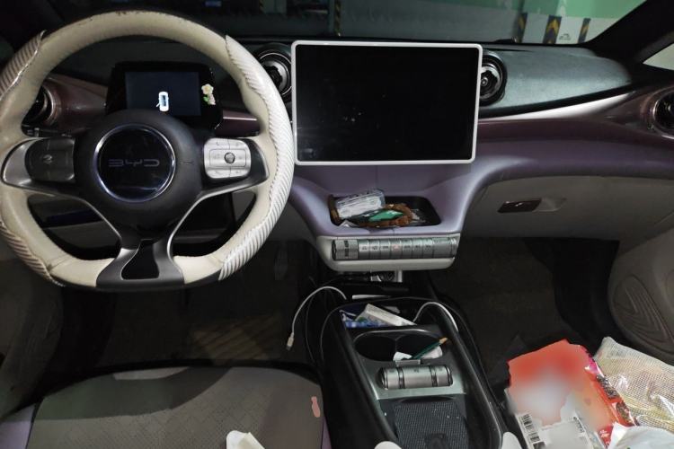 Used BYD Dolphin 2021 401km Knight Edition Center Console