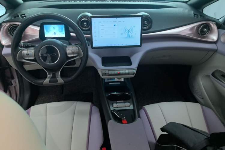 Used BYD Dolphin 2021 401km Knight Edition Center Console