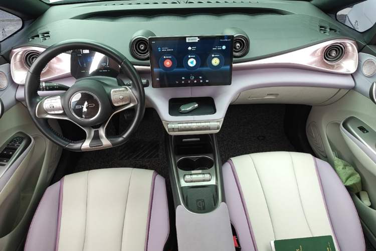 Used BYD Dolphin 2021 405 km Fashion Edition Center Console