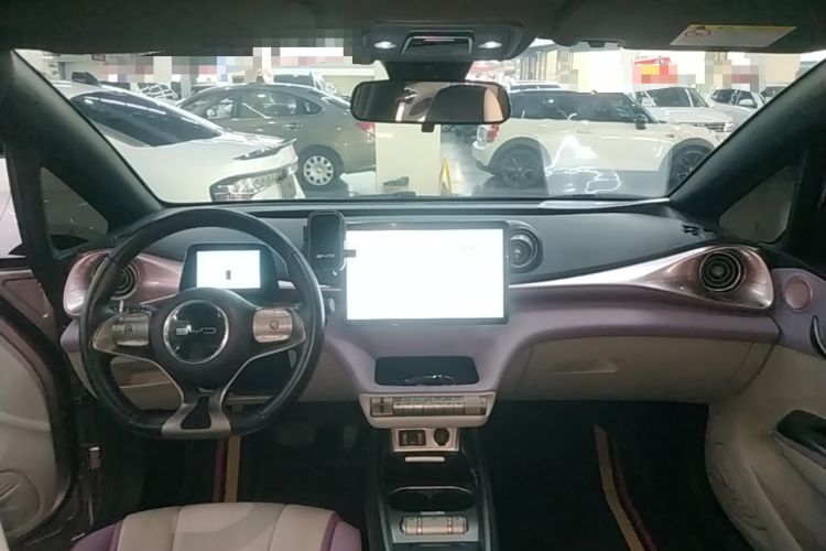 Used BYD Dolphin 2021 405 km Fashion Edition Center Console