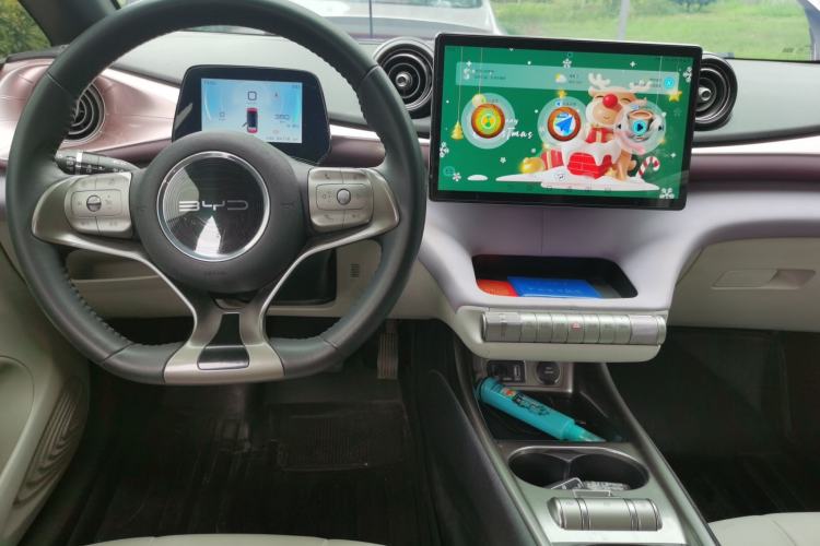 Used BYD Dolphin 2021 405 km Fashion Edition Center Console