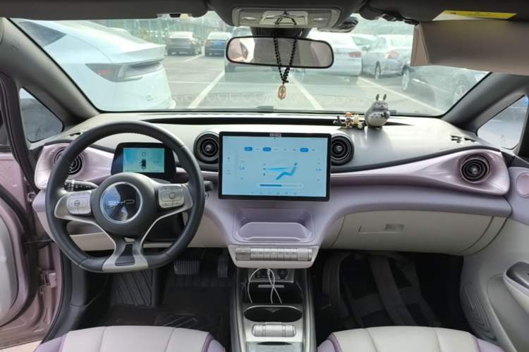 Used BYD Dolphin 2021 405 km Fashion Edition Center Console
