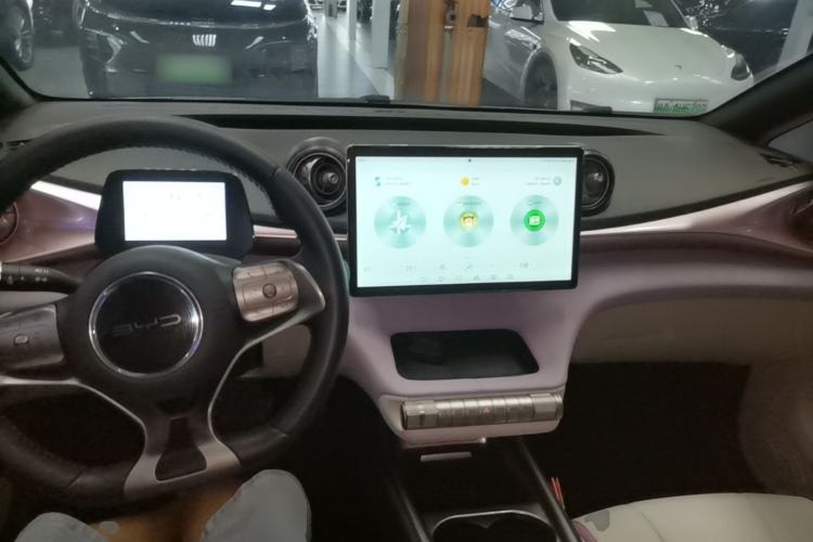 Used BYD Dolphin 2021 405 km Free Version Center Console
