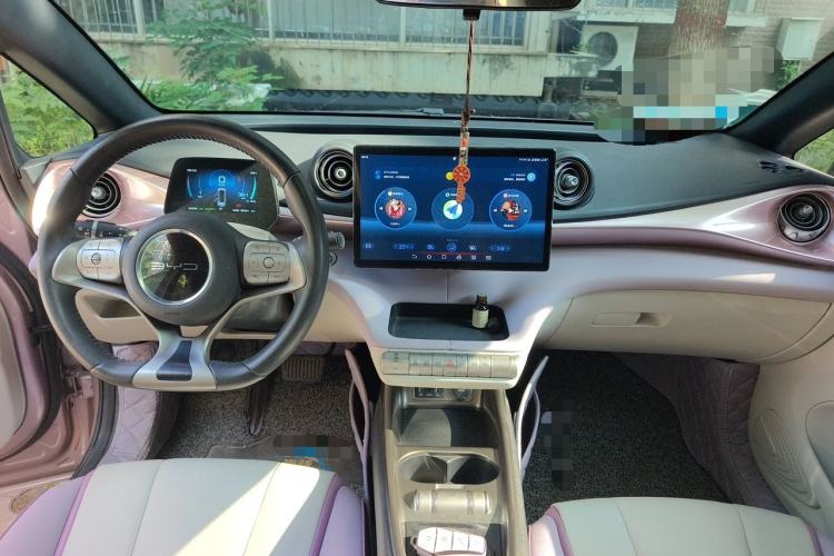 Used BYD Dolphin 2021 405 km Fashion Edition Center Console