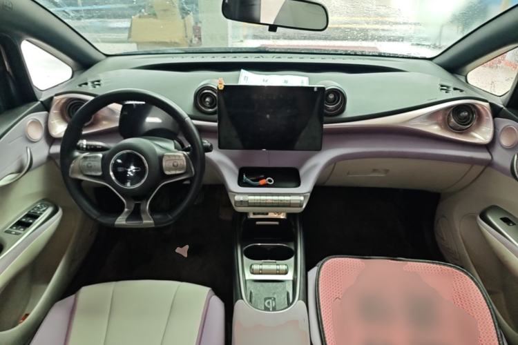 Used BYD Dolphin 2021 405 km Fashion Edition Center Console