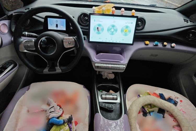 Used BYD Dolphin 2021 405 km Free Version Center Console