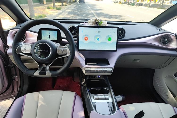 Used BYD Dolphin 2021 405 km Fashion Edition Center Console