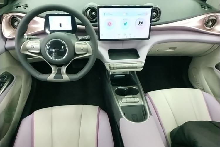 Used BYD Dolphin 2021 405 km Fashion Edition Center Console