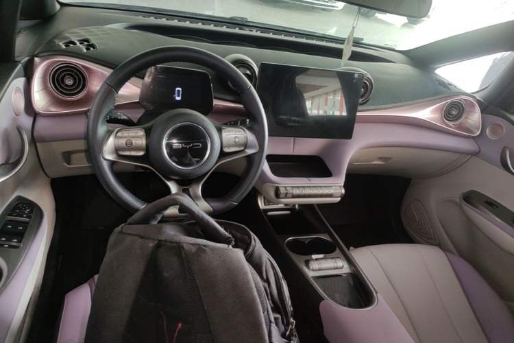 Used BYD Dolphin 2021 405 km Fashion Edition Center Console