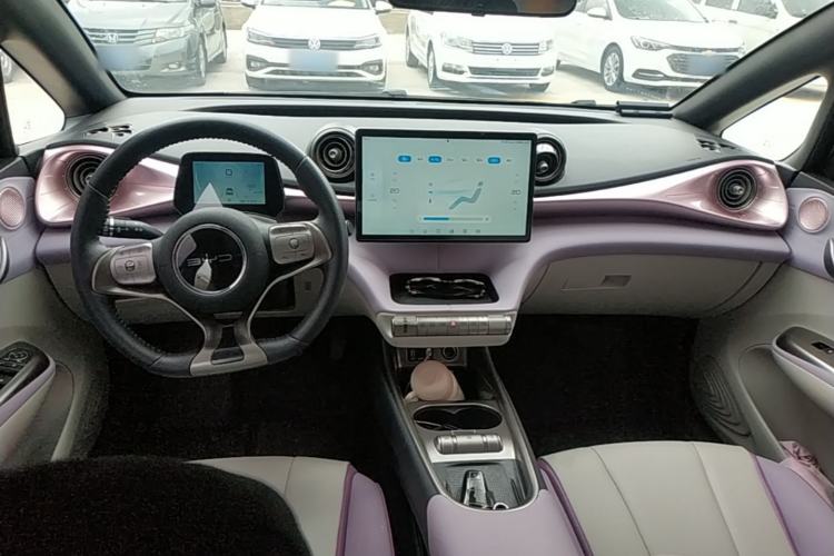 Used BYD Dolphin 2021 401km Knight Edition Center Console