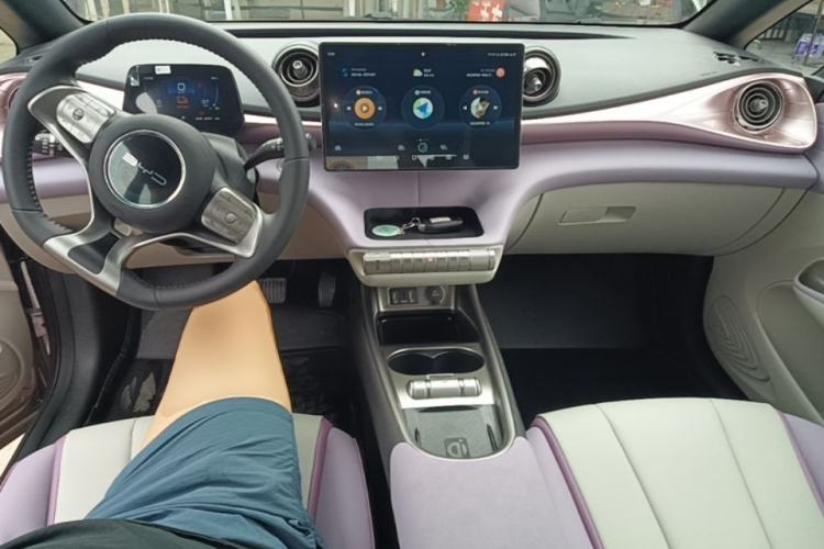 Used BYD Dolphin 2021 405 km Fashion Edition Center Console