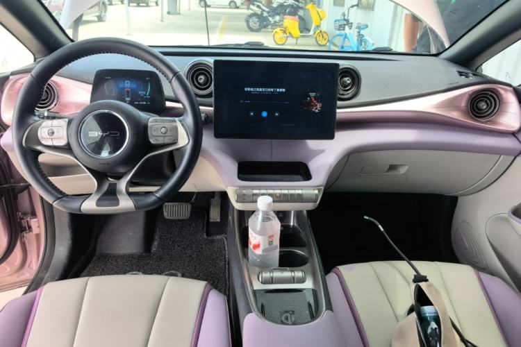 Used BYD Dolphin 2021 405 km Fashion Edition Center Console