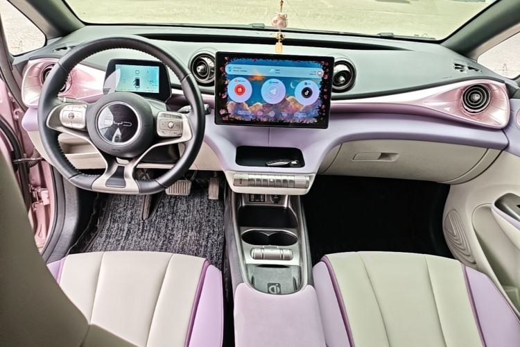 Used BYD Dolphin 2021 405 km Fashion Edition Center Console