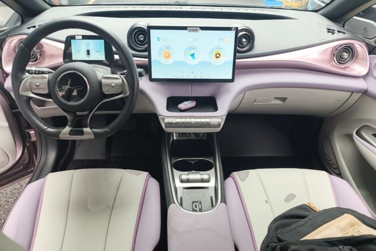 Used BYD Dolphin 2021 405 km Fashion Edition Center Console