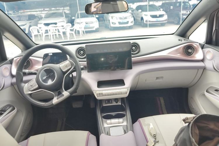 Used BYD Dolphin 2021 405 km Fashion Edition Center Console
