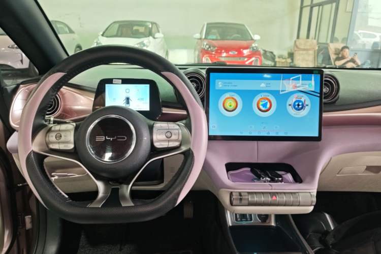 Used BYD Dolphin 2021 405 km Fashion Edition Center Console