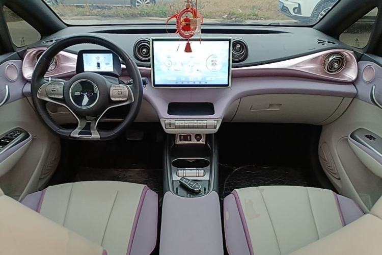 Used BYD Dolphin 2021 405 km Fashion Edition Center Console