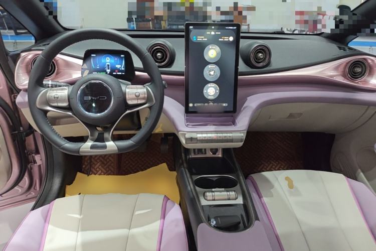 Used BYD Dolphin 2021 405 km Fashion Edition Center Console