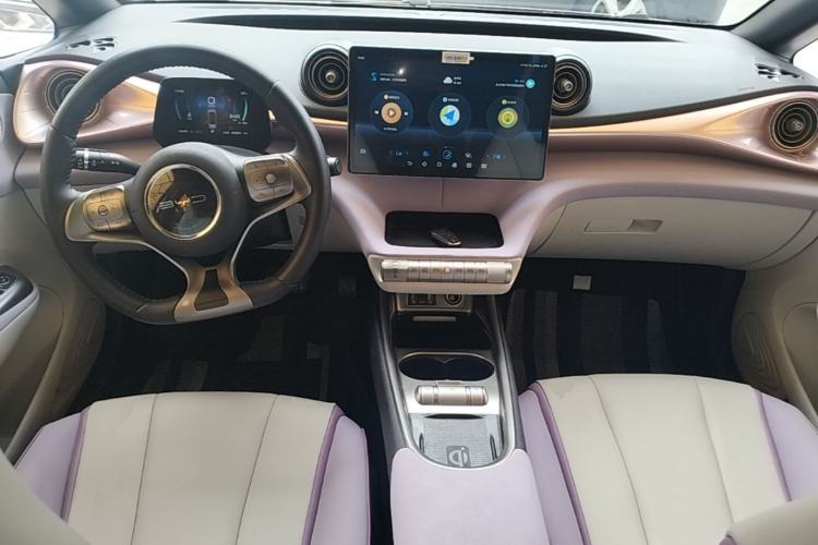 Used BYD Dolphin 2021 405 km Fashion Edition Center Console