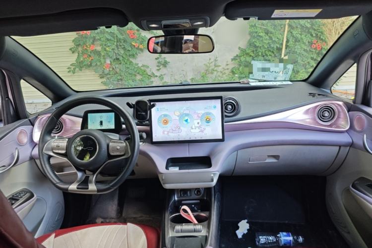 Used BYD Dolphin 2021 405 km Fashion Edition Center Console