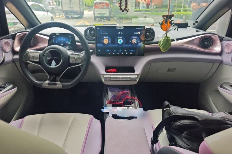 Used BYD Dolphin 2021 405 km Fashion Edition Center Console